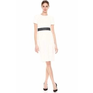 NWT Calvin Klein Cream & Black Short Sleeve Dress